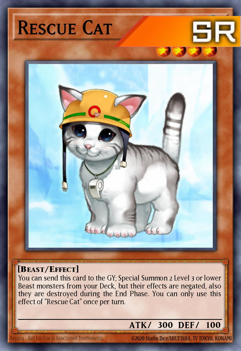 Rescue Cat - RA02-EN001 - 1st Edition - Super Rare