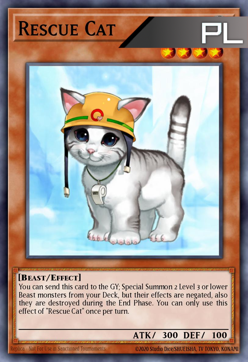 Rescue Cat - RA02-EN001 - 1st Edition - Platinum Secret Rare